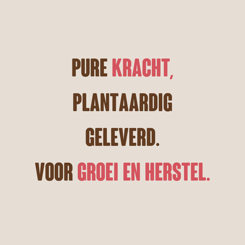 proteinshake strawberry nl de en