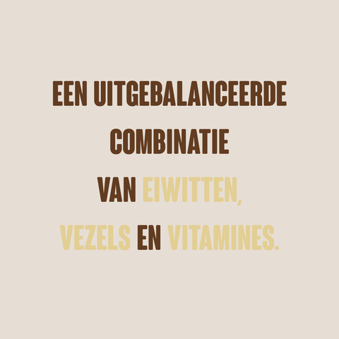 Meal Shake Vanilla nl de en