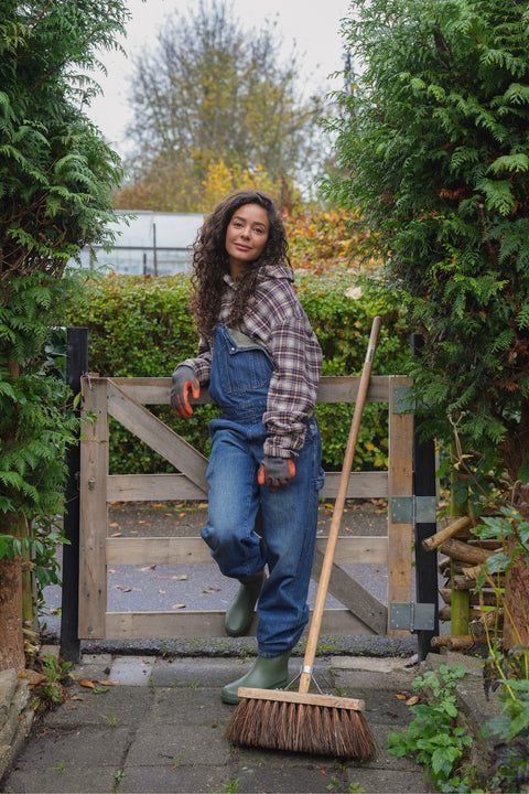 Fajah missie 