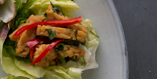 Slaschuitjes met tempeh