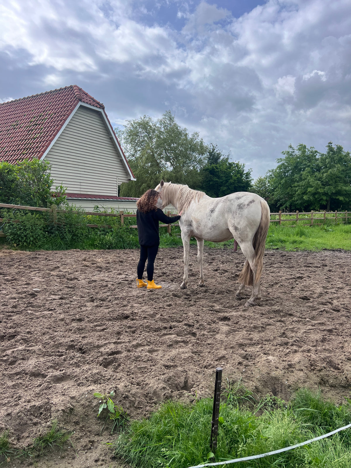 a person standing next to a horse