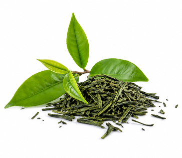 Groene thee extract