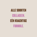 triple collagen nl de en